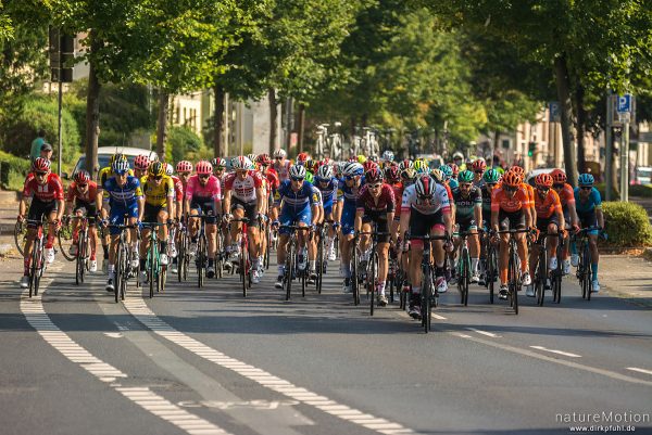 Deutschlandtour 2019, 2. Etappe Marburg - Göttingen, Hauptfeld, Göttingen, Deutschland