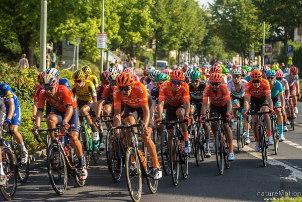 Deutschlandtour 2019, 2. Etappe Marburg - Göttingen, Hauptfeld, gut zu erkennen: Simon Geschke, Emanuel Buchmann, Göttingen, Deutschland