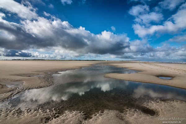 Sandstrand mit Priel, Wolken spiegeln sich im Wasser, Spiekeroog, Deutschland