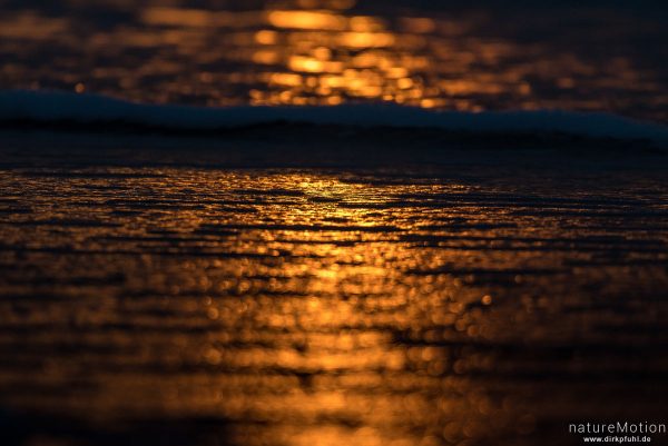Sonnenuntergang, Spülsaum bei ablaufendem Wasser, Lichtreflexe, Spiekeroog, Deutschland