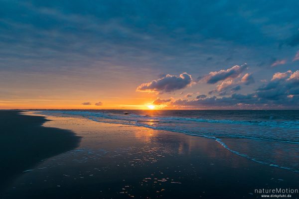 Sonnenuntergang, Spülsaum bei ablaufendem Wasser, Spiekeroog, Deutschland