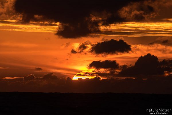 Sonnenuntergang, Spülsaum bei ablaufendem Wasser, Spiekeroog, Deutschland