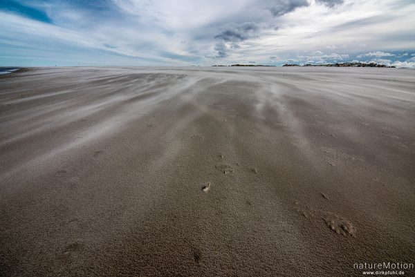 Sand weht über den Strand, Spiekeroog, Deutschland