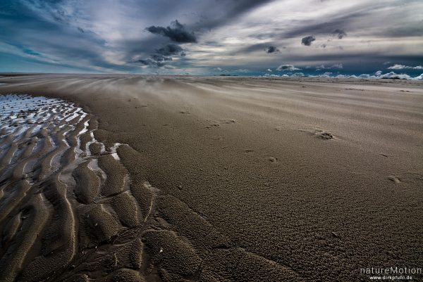 Sand weht über den Strand, Rippel, Spiekeroog, Deutschland