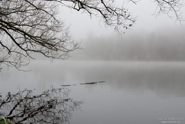 Nebelstimmung am Göttinger Kiessee, Göttingen, Deutschland