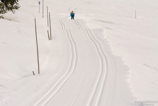 Ski-Langläufer, Winterlandschaft, Schwendeloipe, Riezlern – Kleinwalsertal, Österreich
