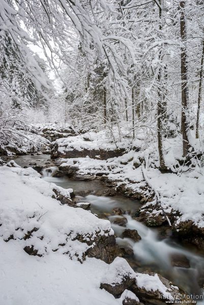 Bergbach im Winterwald, Oybach-Tal, Oberstdorf, Deutschland