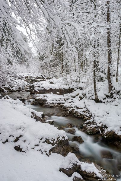 Bergbach im Winterwald, Oybach-Tal, Oberstdorf, Deutschland