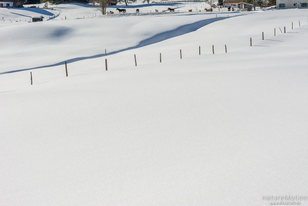 Zaun in Schneefläche, Riezlern – Kleinwalsertal, Österreich