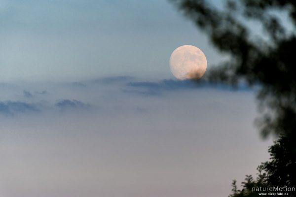 Mondaufgang, nahezu voll, Kiessee, Göttingen, Deutschland
