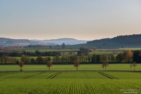 Felder mit Wintergetreide, Baumreihen, Warteberg mit Blick auf