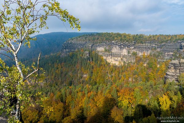 Felswände, Ausblick vom Prebischtor, Hrensko, Tschechien