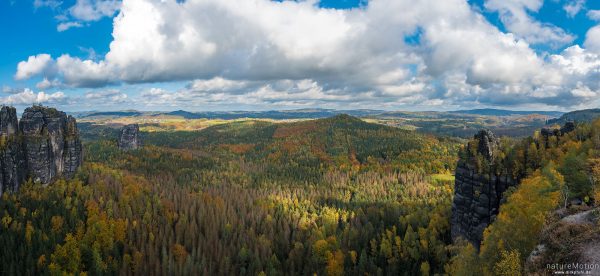 Schrammsteinaussicht, Herbstwald, Bad Schandau, Deutschland