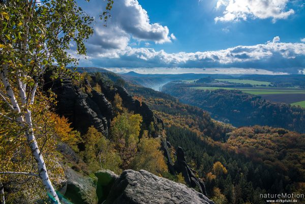 Elbe, Schrammsteinaussicht, Herbstwald, Bad Schandau, Deutschland
