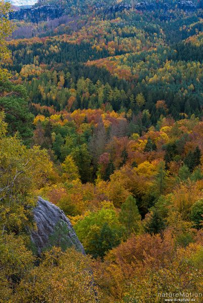 Schrammsteine, Gratweg, Herbstwald, Bad Schandau, Deutschland