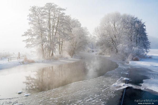 Fluss im Winter, vereiste Ufer und Ufervegetation, Raureif, Stockenten, Reiherenten, Flüthewehr, Göttingen, Deutschland