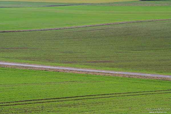 Felder mit keimendem Wintergetreide, Feldweg, ausgeräumte Agrarlandschaft, Roringen bei Göttingen, Deutschland