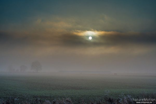 Ackerflächen mit frisch ausgetriebenem Wintergetreide, Sonne dringt durch Nebel, Leineauen südlich Kiessee, Göttingen, Deutschland