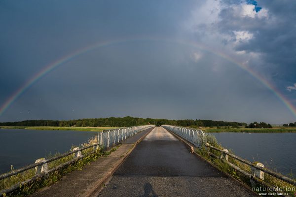 Regenbogen, aufziehendes Gewitter, Nyord, Ulvshale, Mön, Dänemark