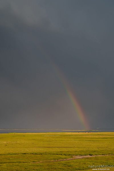 Regenbogen, aufziehendes Gewitter, Nyord, Ulvshale, Mön, Dänemark