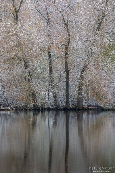 schneebedeckte Bäume spiegeln sich im Wasser, Kiessee, Göttingen, Deutschland