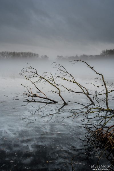Äste im Wasser, Nebel über Eisdecke, Kiessee, Göttingen, Deutschland