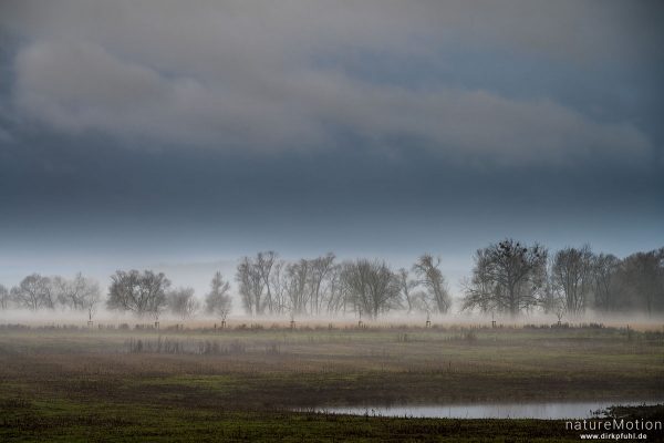 Nebel und Regenwolken über der Feldmark, Naturschutzgebiet am Flüthe-Wehr, Göttingen, Deutschland