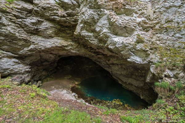 Die Kelle, Grotte im Gipskarst, Ellrich, Deutschland