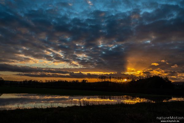 Abendhimmel, ziehende Gänse, Wolken spiegeln sich in überschwemmten Feldern, Feldmark am Flüthewehr, Göttingen, Deutschland