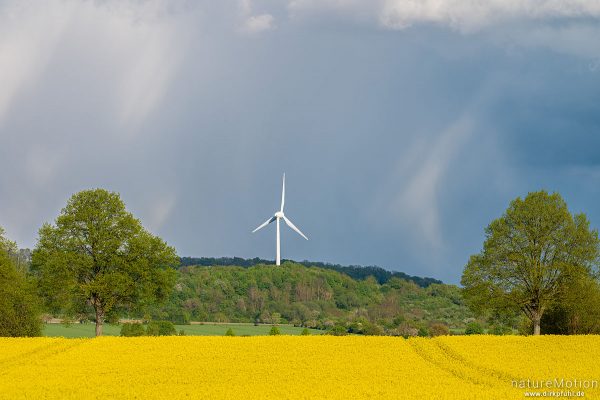 Windrad und Rapsfeld, Regenwolken, Feldmark südlich von Göttingen, Göttingen, Deutschland