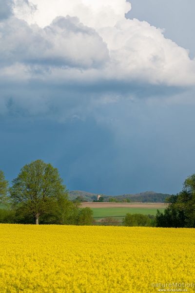 Diemardener Warte und Rapsfeld, Regenwolken, Feldmark südlich von Göttingen, Göttingen, Deutschland