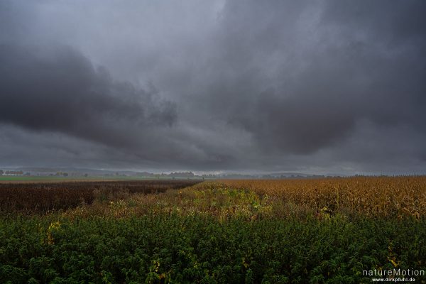 Regen zieht über die Feldmark, Göttingen, Deutschland