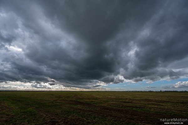 aufziehender Regen, Wiesen am Dümmer, Diepholzer Moorniederung, Deutschland