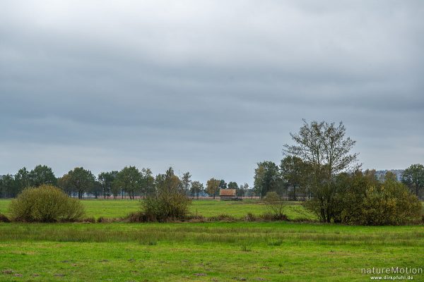 Oppenweher Moor, Diepholzer Moorniederung, Deutschland