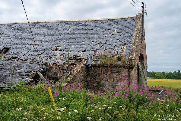 Farmgebäude mit teilweise eingestürztem Dach, Forres, Schottland