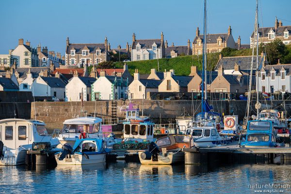 Hafen mit Fischerbooten, Findochty, Schottland