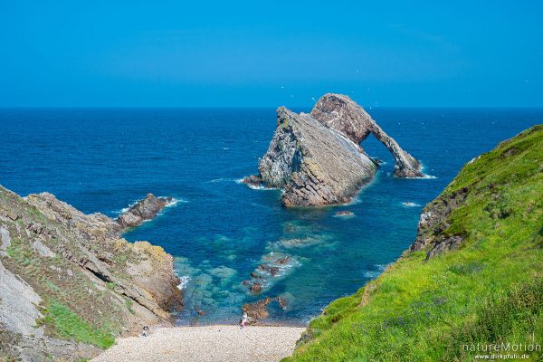 Bow Fiddle Rock, Felsformation vor der Küste, Portknockie, Schottland