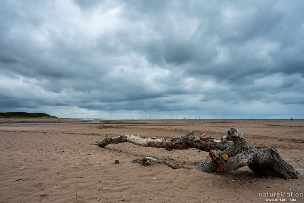 Mündung des Don, Aberdeen, Schottland