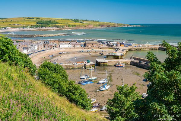 Hafenbecken bei Ebbe, Stonehaven, Schottland