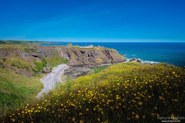 Dunnottar Castle, Stonehaven, Schottland
