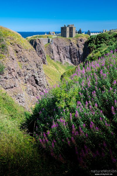 Dunnottar Castle, Stonehaven, Schottland