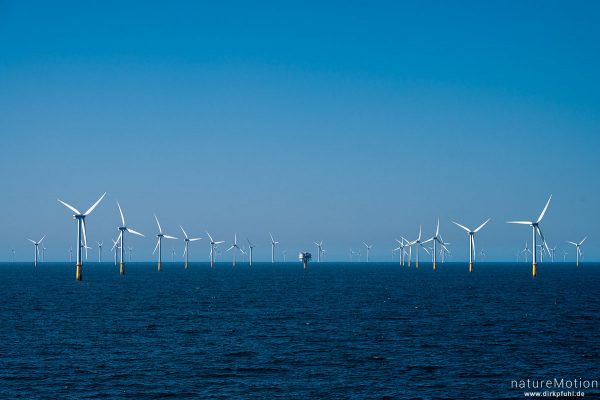 Offshore Windpark "Prinsess Amalia", Ijmuiden, Niederlande - Holland