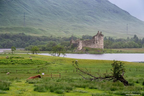 Kilchurn Castle, Loch Awe, Lochawe, Schottland