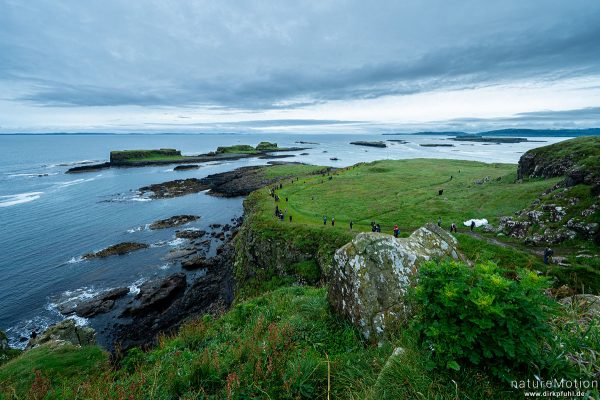 Felsküste mit Brutkolien von Seevögeln, Touristen, Lunga - Treshnish Isles, Schottland