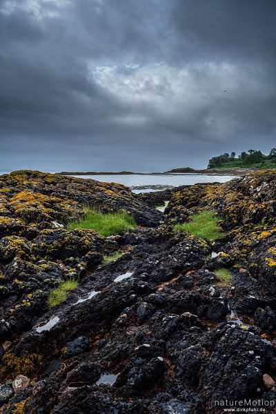 Felsen und Tang, Strand von Loch Linnhe, Loch Linnhe, Schottland