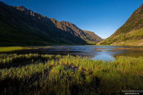 Loch Achtriochtan, Schilf und Wasserpflanzen im Abendlicht, Glencoe, Schottland