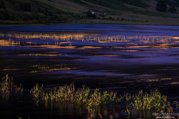 Loch Achtriochtan, Schilf und Wasserpflanzen im Abendlicht, Glencoe, Schottland