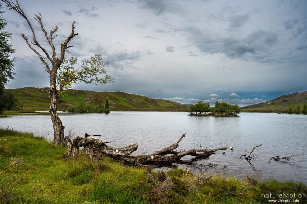 Loch Tarff, Fort Augustus, Schottland