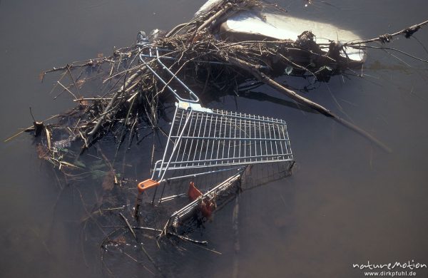 Einkaufswagen, in Fluss geworfen, Treibholz, Leinekanal, Göttingen, Deutschland