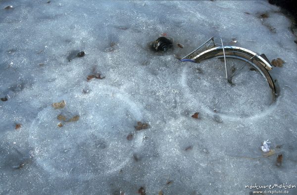 Fahrrad, eingefroren im Eis, Leinekanal, Göttingen, Göttingen, Deutschland